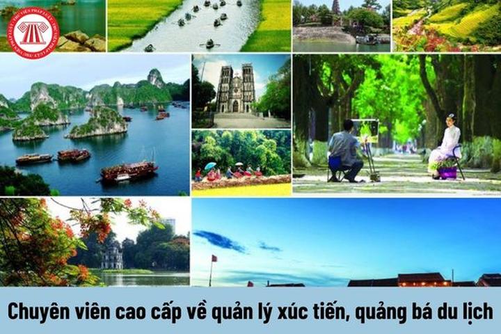 Mở đăng ký trước cho Open - Cảm hứng video marketing từ Hotspot Matrix