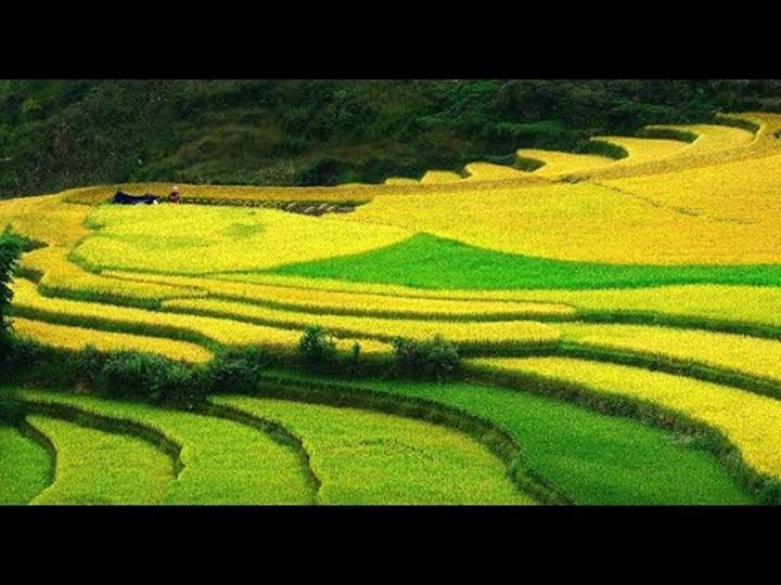 Làm Video Ngắn – Vừa Sáng Tạo, Vừa Kiếm Tiền Với Công Cụ Hữu Ích