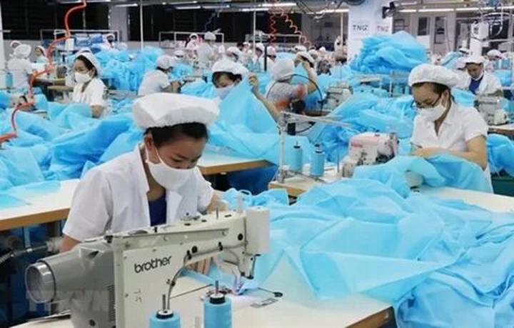 Loại cá được khen 
