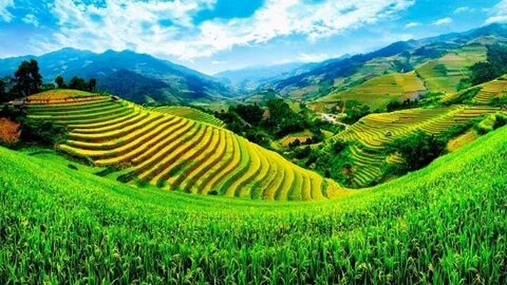 Xu hướng Mua váy hoa mà không biết 4: Hotspot Matrix tiết lộ bí quyết video viral