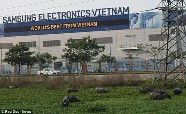 Quản lý nhà hàng thời 4.0: Thu hút khách hàng bằng video ngắn và Hotspot Matrix